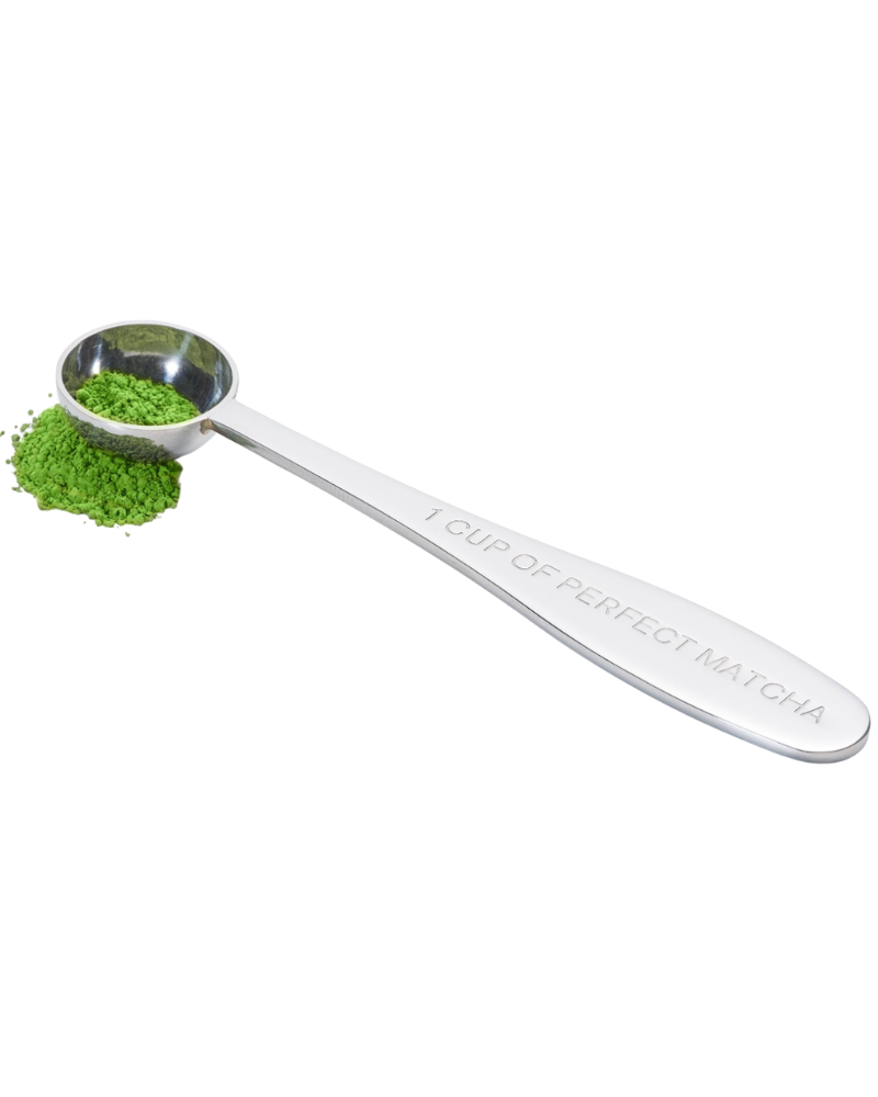 Metal Spoon